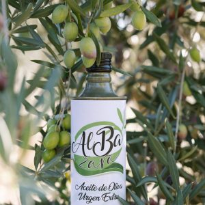 BOTELLA METÁLICA 500ML